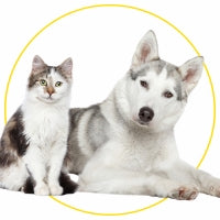 Pets com Estilo