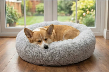 CozyNest™ – Comfort They’ll Dream About